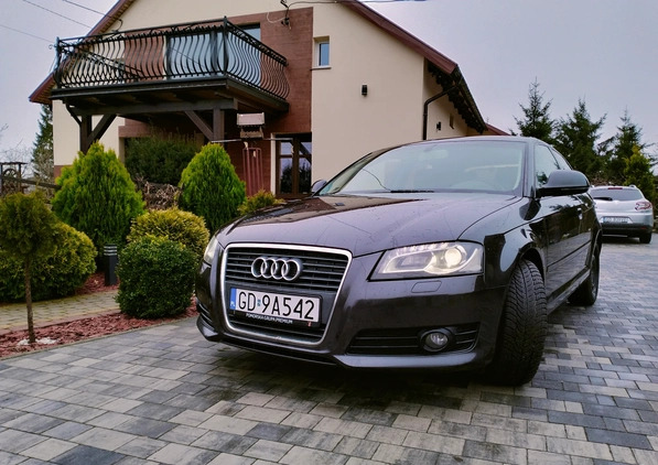 Audi A3 cena 16900 przebieg: 320000, rok produkcji 2008 z Karczew małe 466